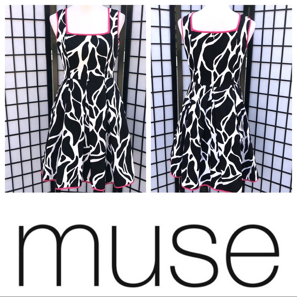 Muse Anthropologie Fit & Flare Dress with Pockets!